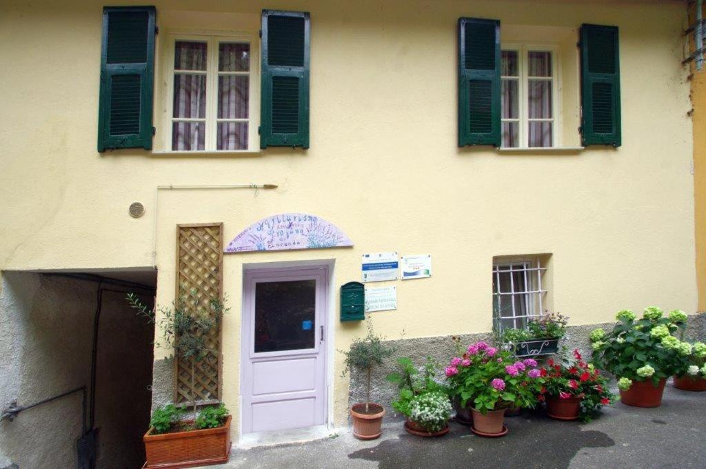 Agriturismo Nonnamelia Nasino Exterior photo