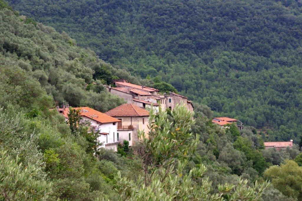 Agriturismo Nonnamelia Nasino Exterior photo